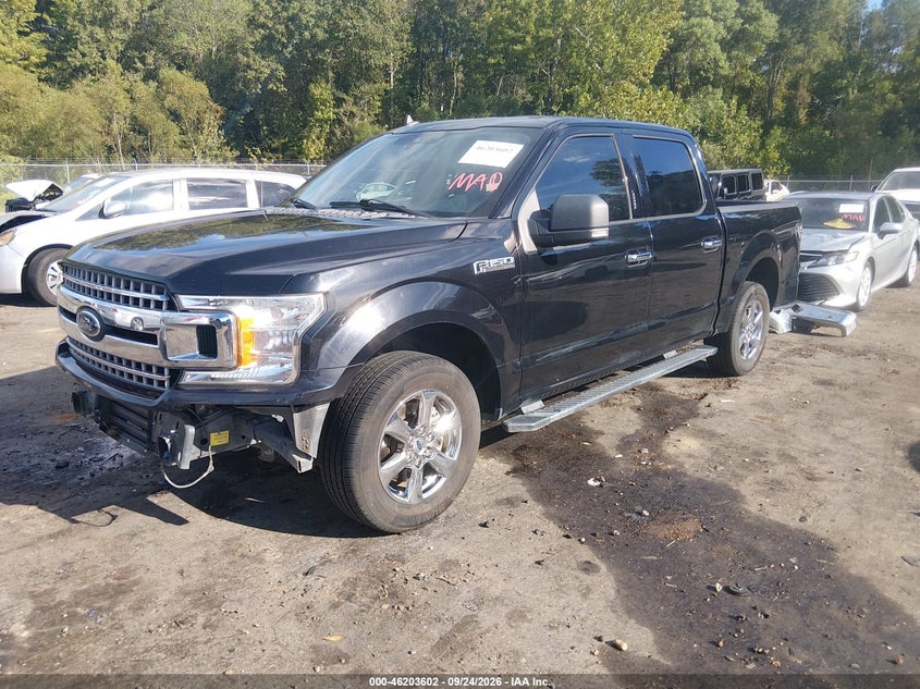 Vin: 1ftew1cp5kfa29416, lot: 46703514, ford f-150 xlt 2019 img_1