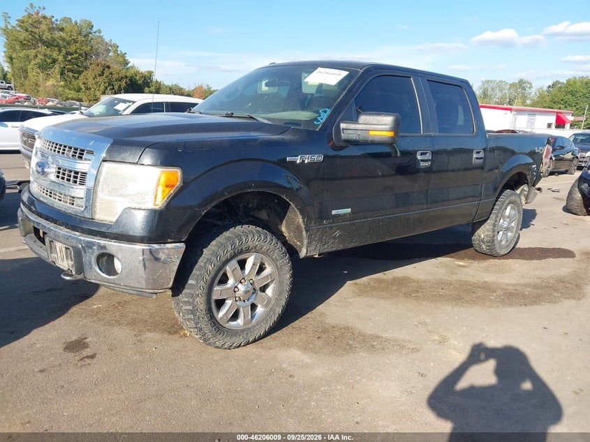 Vin: 1ftfw1et7dfd47989, lot: 46705921, ford f-150 xlt 20132