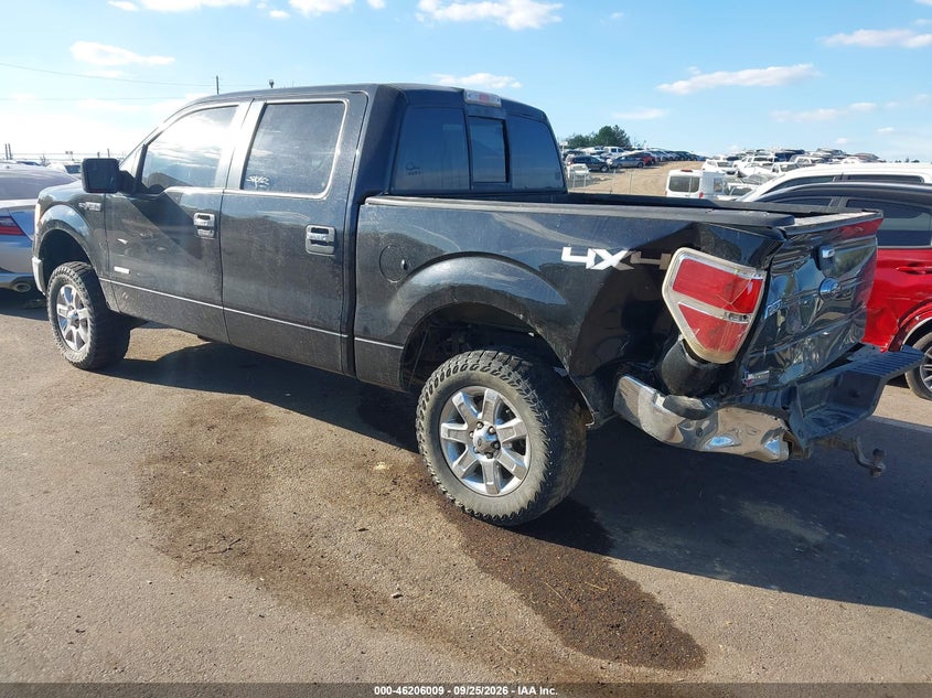 Vin: 1ftfw1et7dfd47989, lot: 46705921, ford f-150 xlt 20133