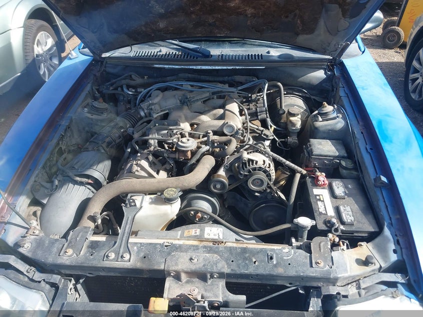 FORD MUSTANG 2003 VIN 1FAFP44413F391306