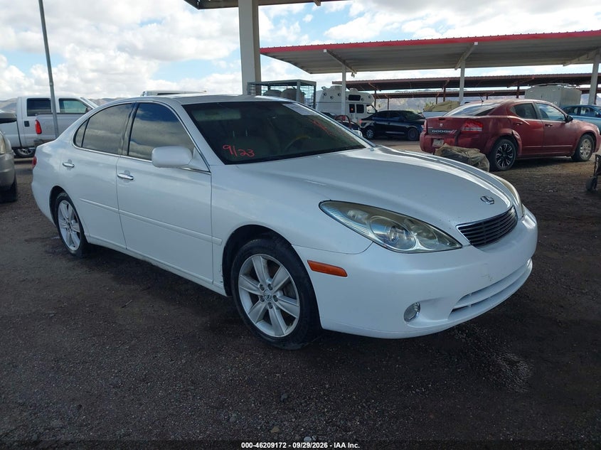 LEXUS ES 330 2006 VIN JTHBA30G165169359