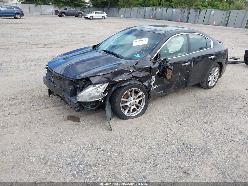 NISSAN MAXIMA 2010 VIN 1N4AA5AP8AC857439