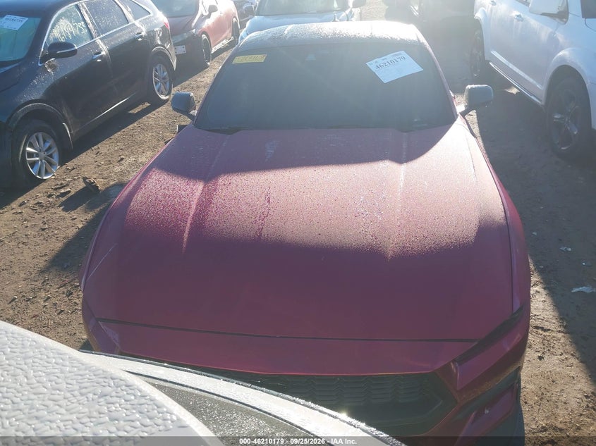 FORD MUSTANG - zdjęcie 13