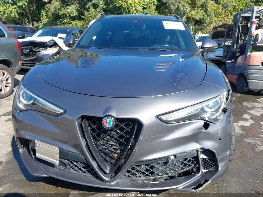 2019 ALFA ROMEO STELVIO QUADRIFOGLIO AWD · Фото 12