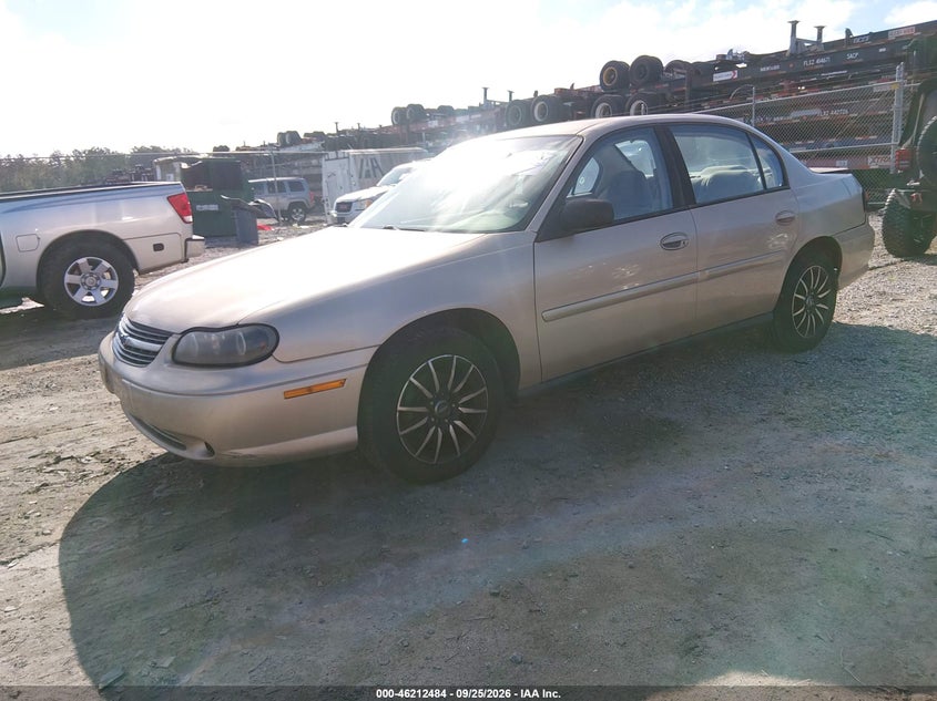 2003 Chevrolet Malibu, Удар ззаду, IAAI, VIN 1G1ND52J53M534033 — фото 2