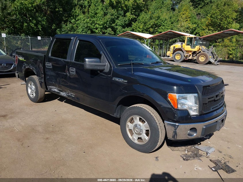 2013 Ford F-150 XLT