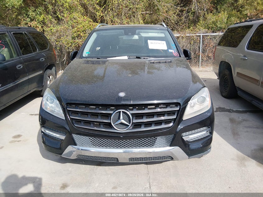 Фото 12 - MERCEDES-BENZ ML 350