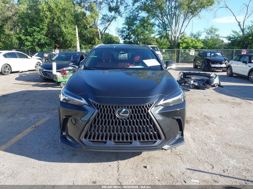 LEXUS NX 350 - zdjęcie 13