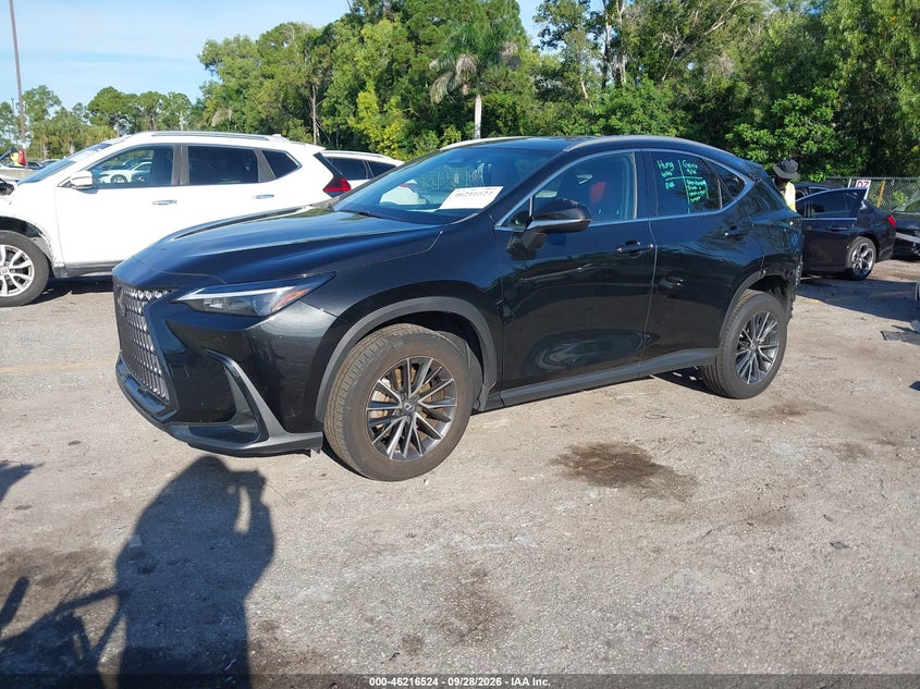 LEXUS NX 350 - zdjęcie 2
