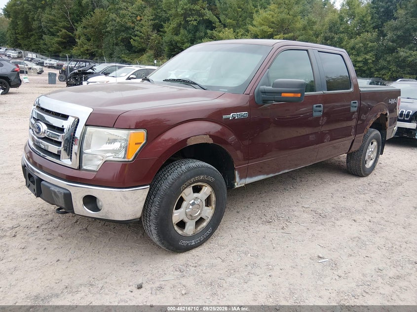 2010 Ford F-150, Обидва боки, IAAI, VIN 1FTFW1EV3AKB83595 — фото 2