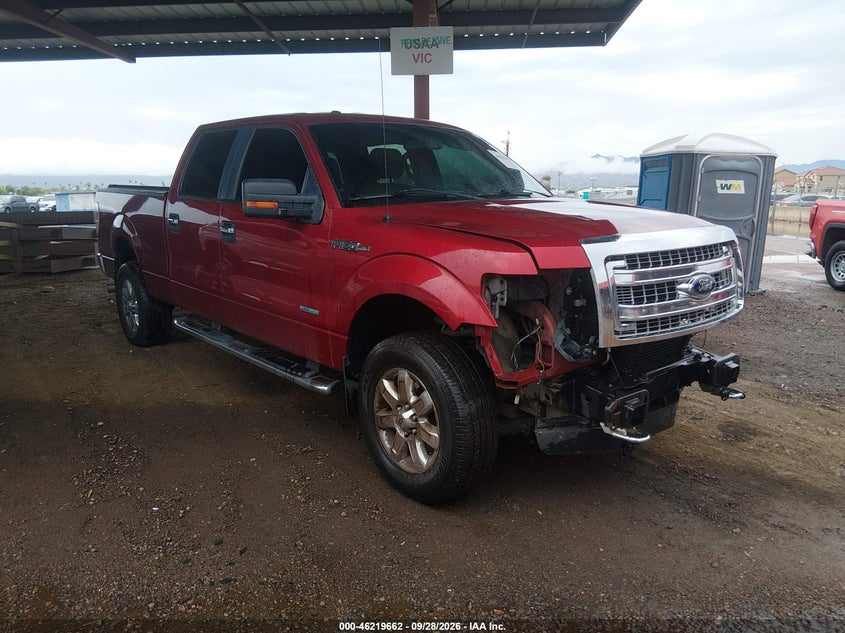 2014 FORD F-150 XLT