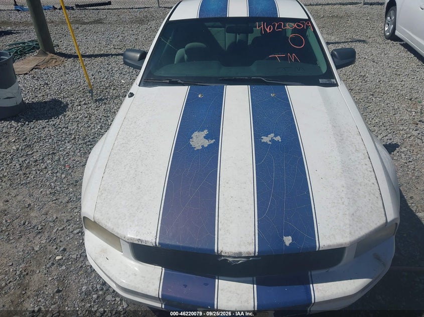FORD MUSTANG 2005 VIN 1ZVFT80N555137177