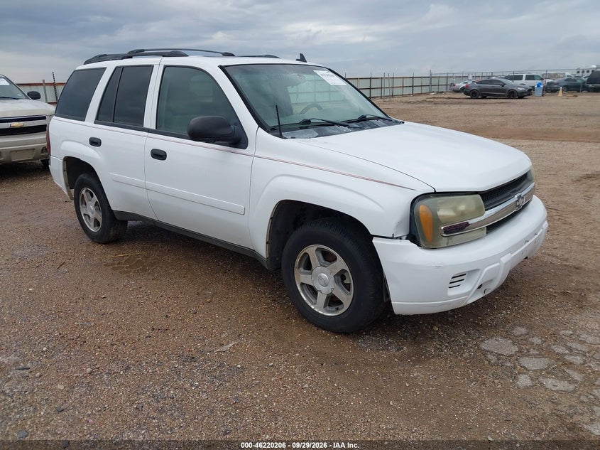 CHEVROLET TRAILBLAZER 2006 VIN 1GNDT13SX62236753