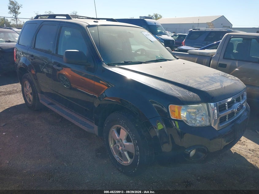 2012 FORD ESCAPE XLT