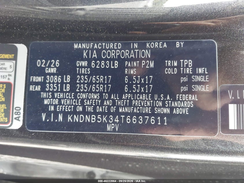 صورة 9 - KIA CARNIVAL MPV
