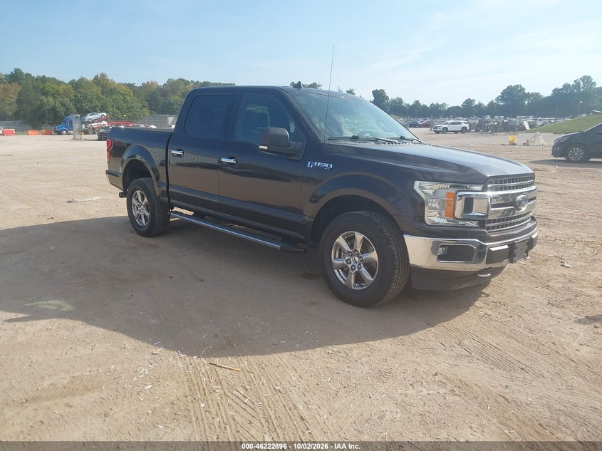Vin: 1ftew1e54kfb49798, lot: 46722884, ford f-150 xlt 2019 img_1
