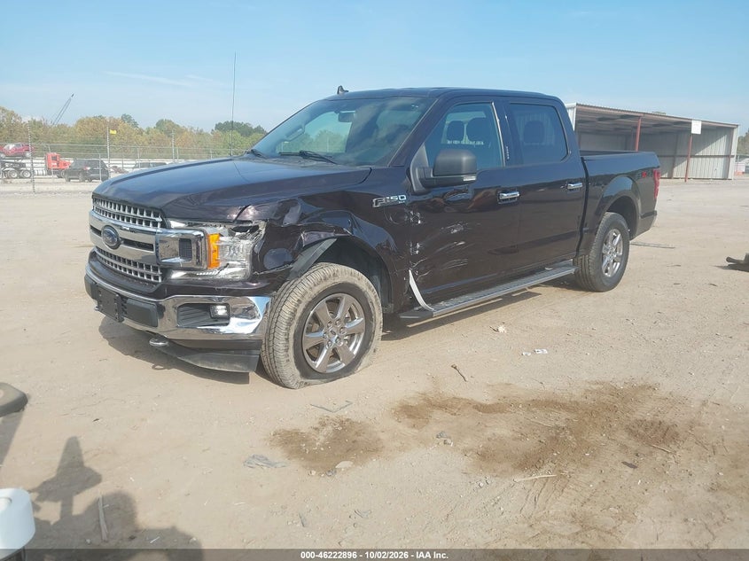 Vin: 1ftew1e54kfb49798, lot: 46722884, ford f-150 xlt 20192