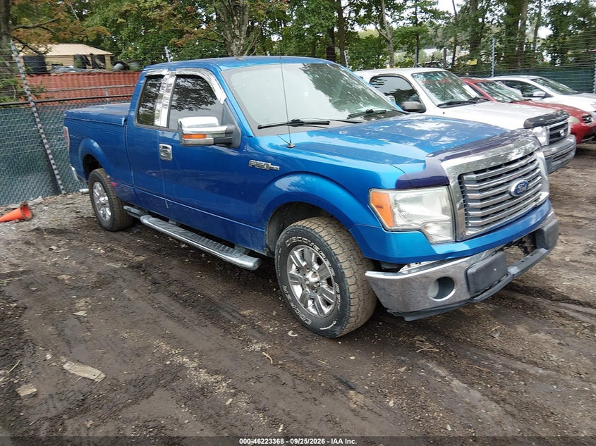 2010 Ford F-150 XLT