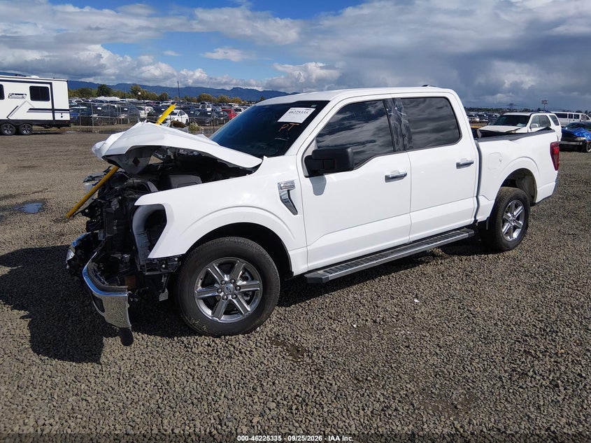 Vin: 1ftew3k82ske88982, lot: 46725323, ford f-150 xlt 20252