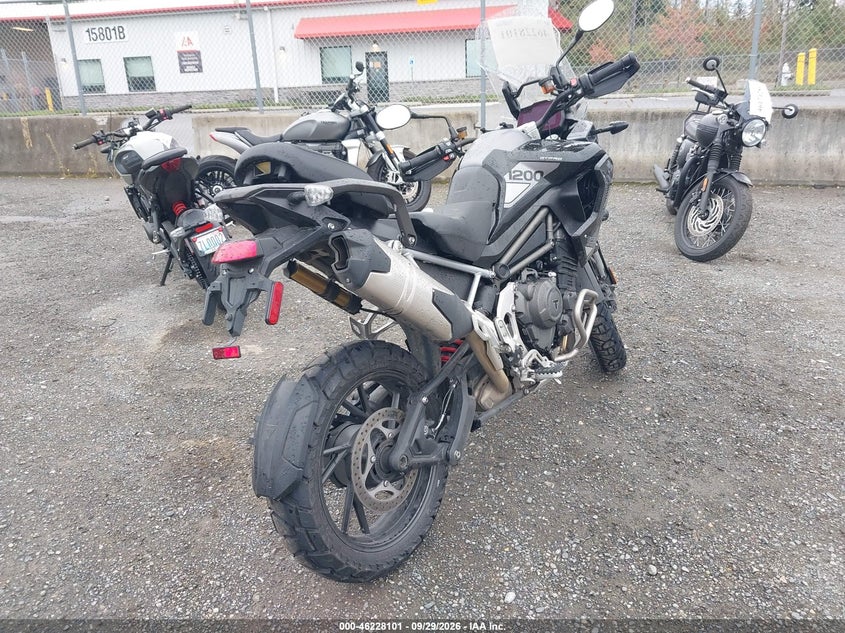 TRIUMPH TIGER 2023