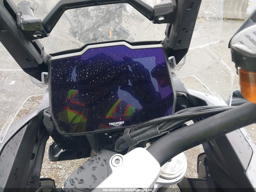 TRIUMPH TIGER 2023