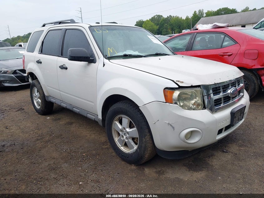 2009 FORD ESCAPE XLT