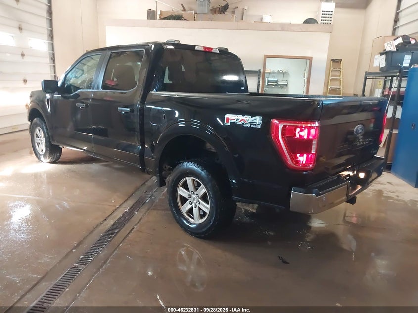Vin: 1ftew1ep1pkd19339, lot: 46732825, ford f-150 xlt 20233