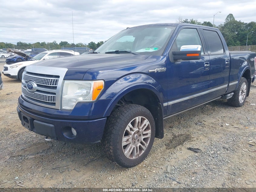 FORD F-150 2009 VIN 1FTPW14V19FA43877