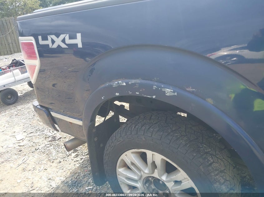 FORD F-150 2009 VIN 1FTPW14V19FA43877