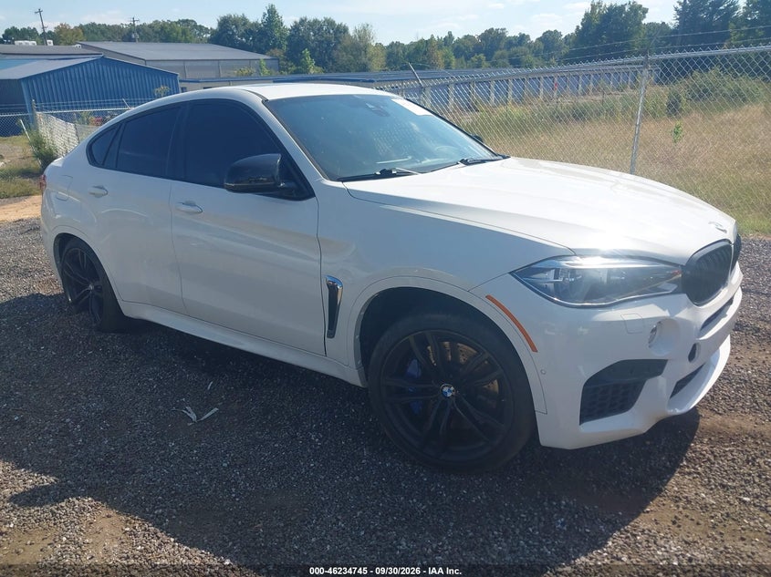 Vin: 5ymkw8c5xj0y74555, lot: 46734739, bmw x6 m 2018 img_1