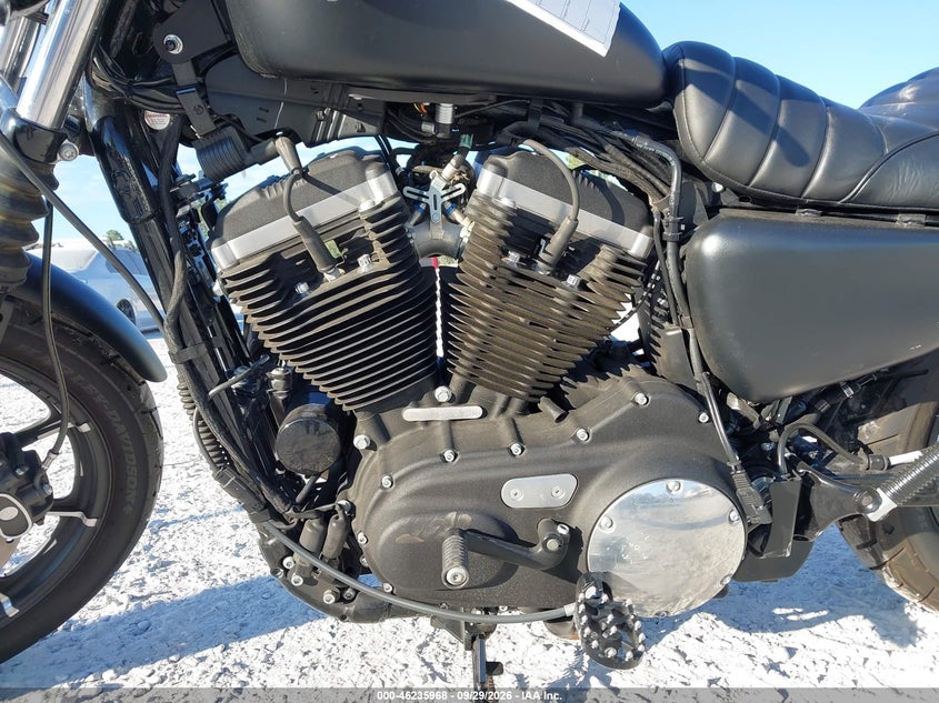 HARLEY-DAVIDSON XL883 2022