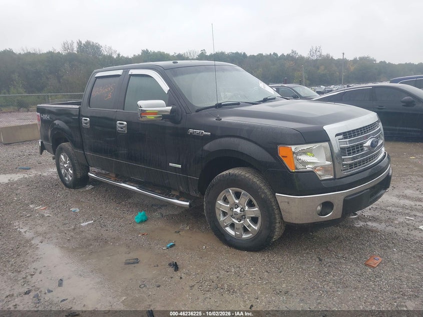 Vin: 1ftfw1et2efb44879, lot: 46736219, ford f-150 xlt 2014 img_1