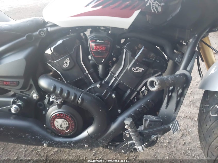 INDIAN 101 SCOUT 2025