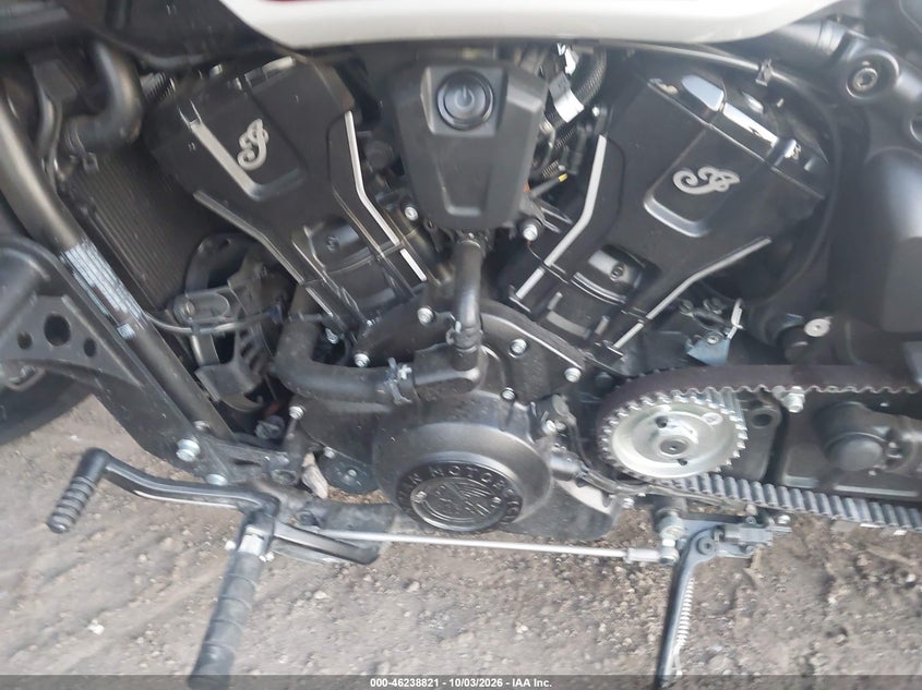 INDIAN 101 SCOUT 2025