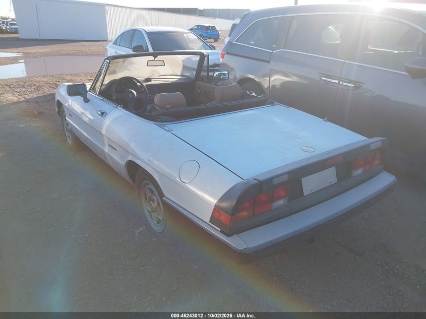 ALFA-ROMEO SPIDER 1989 VIN ZARBA5644K1063506