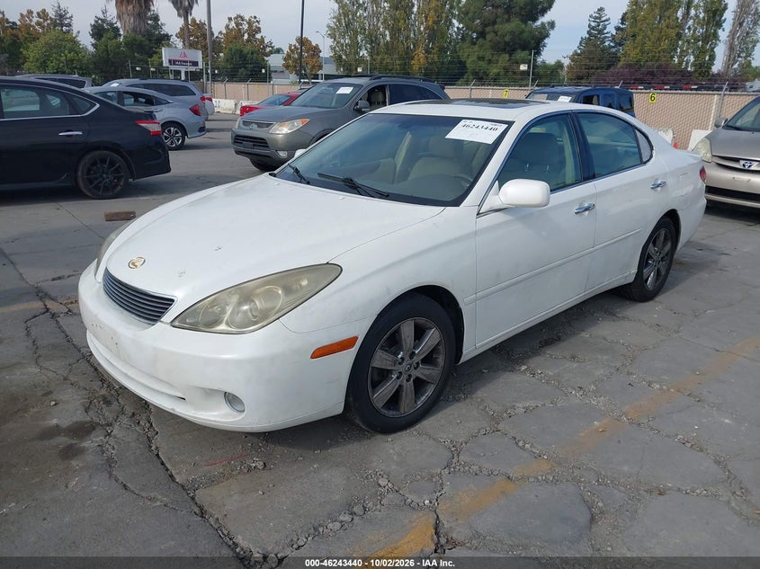 LEXUS ES 330 2005 VIN JTHBA30G655095323