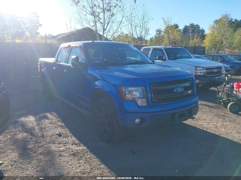 Vin: 1ftfw1ef7dfd28563, lot: 46744312, ford f-150 fx4 2013 img_1