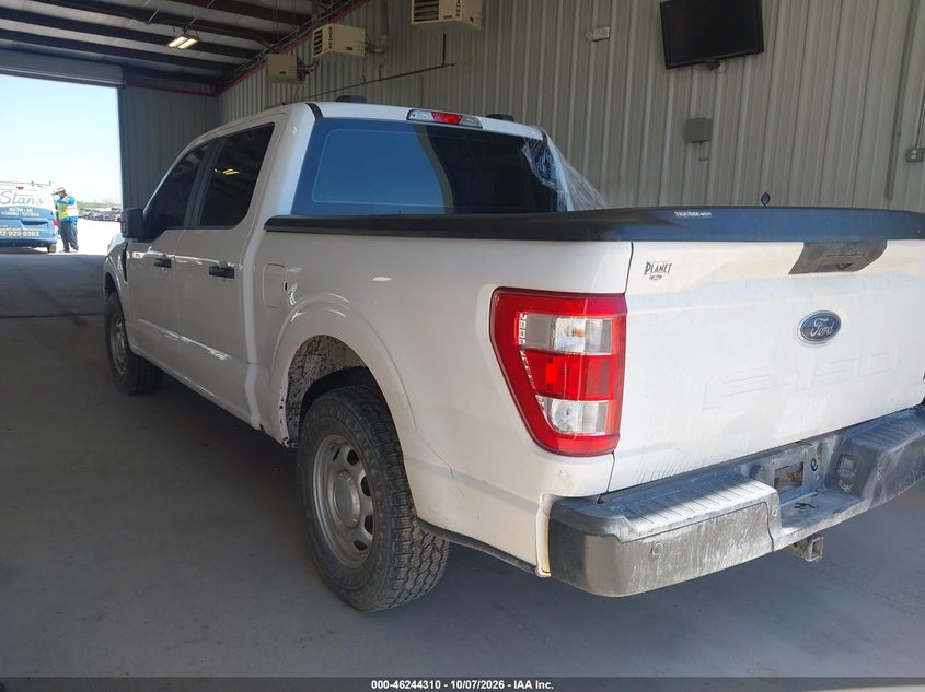 Vin: 1ftew1cb1mke84018, lot: 46744337, ford f-150 xl 20213
