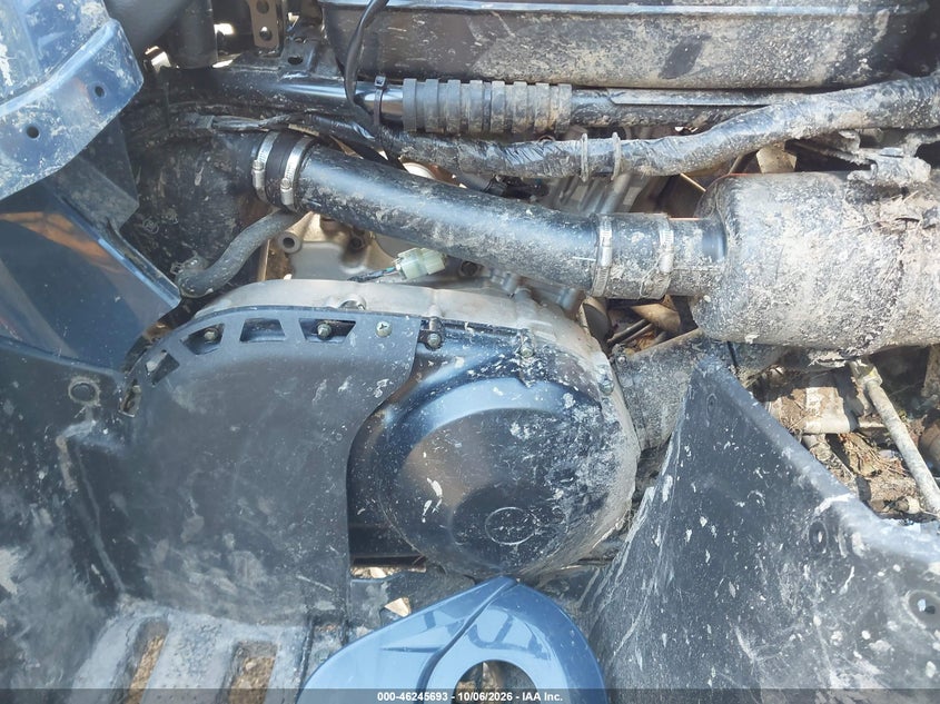 KAWASAKI KVF450 2025