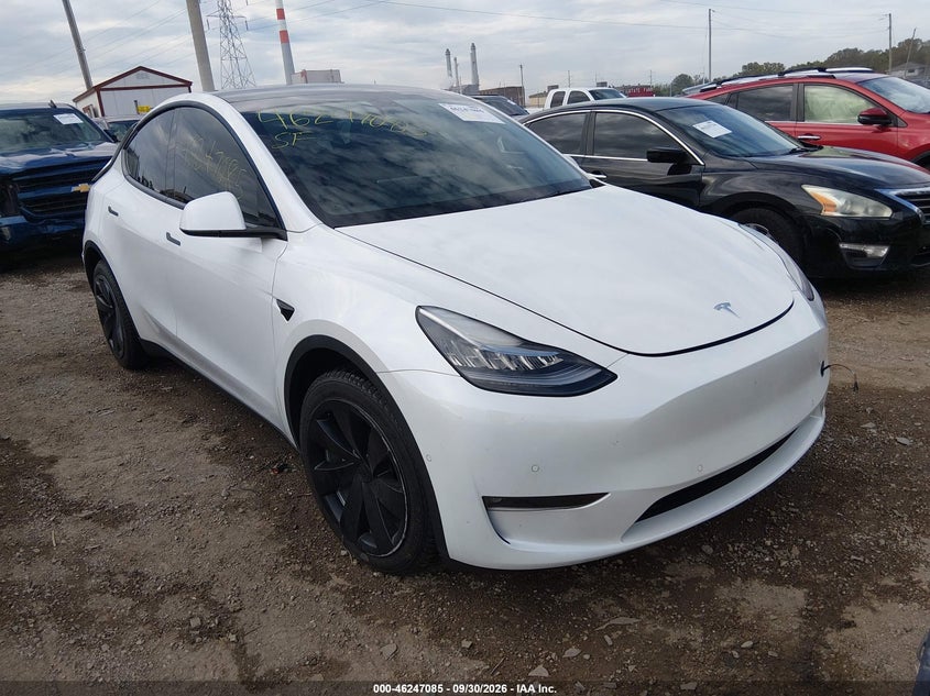 TESLA MODEL Y