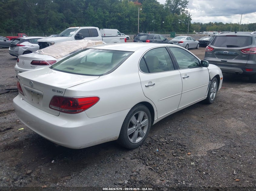 LEXUS ES 330 2005 VIN JTHBA30G155087100