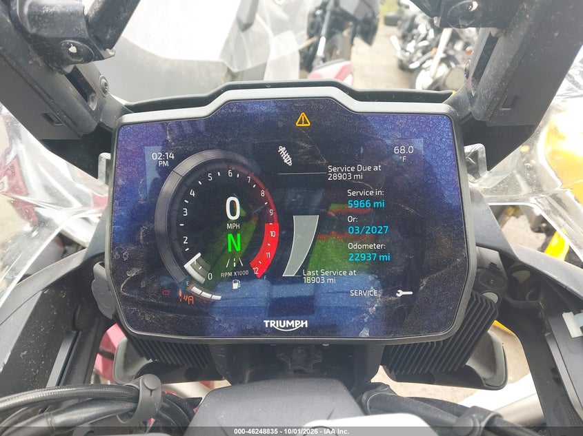 TRIUMPH TIGER 2023