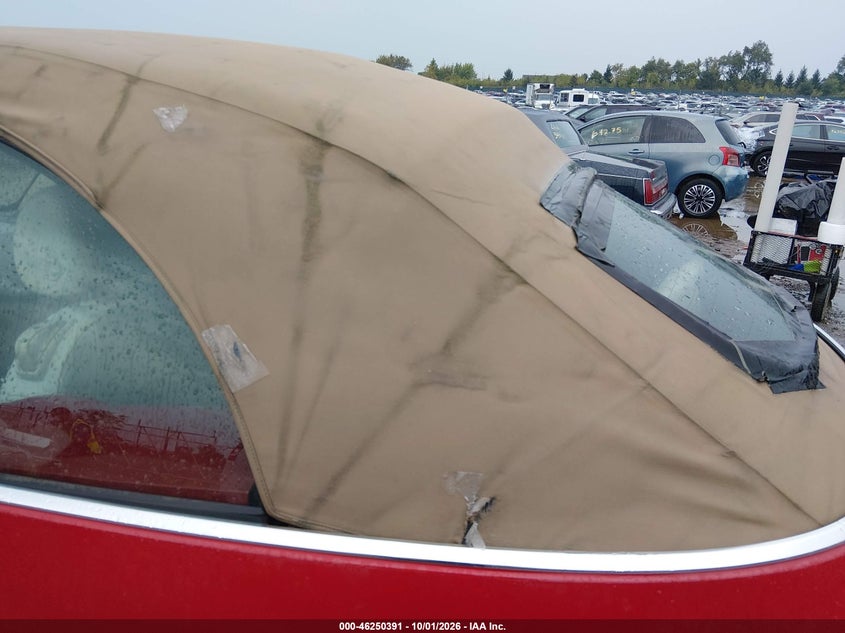 VOLKSWAGEN NEW BEETLE 2006 VIN 3VWSF31Y46M319627