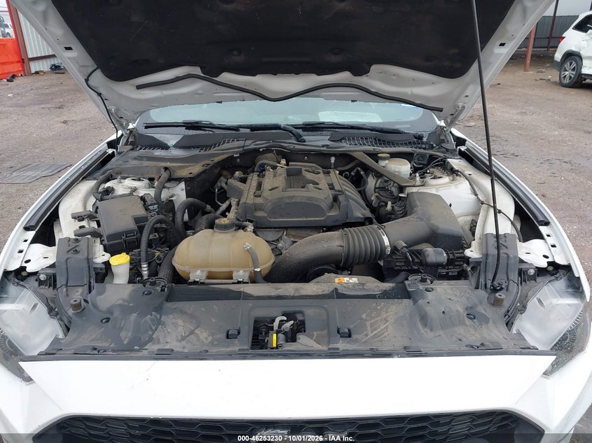 FORD MUSTANG - zdjęcie 10