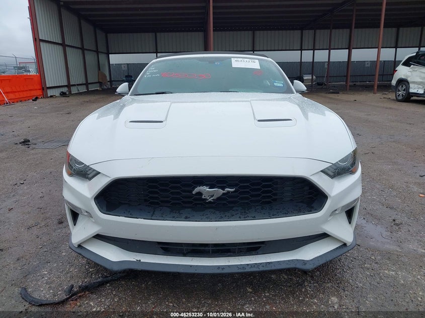 FORD MUSTANG - zdjęcie 12