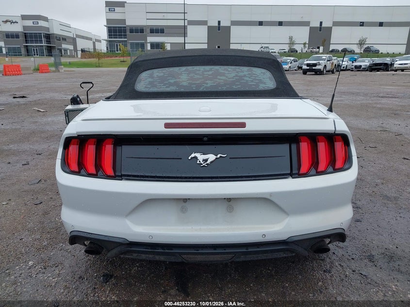 FORD MUSTANG - zdjęcie 16