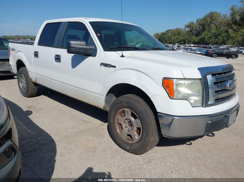 Vin: 1ftfw1ev5afc30053, lot: 46753599, ford f-150 fx4/harley-davidson/king ranch/lariat/platinum/xl/xlt 2010 img_1