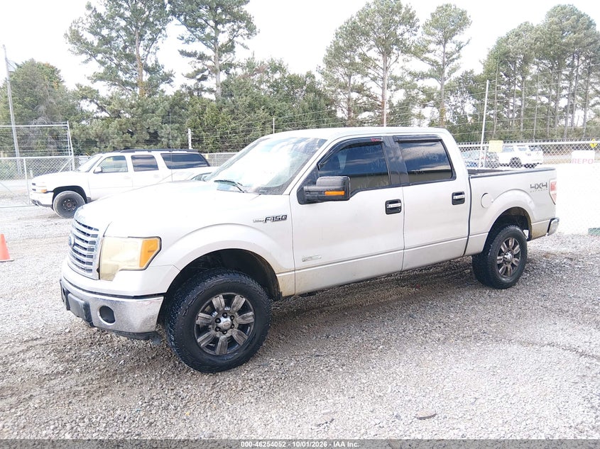 2011 Ford F-150 Xlt, Normal Wear & Tear, IAAI, VIN 1FTFW1ET4BFC87988 — photo 2
