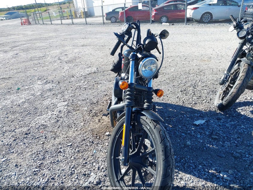 HARLEY-DAVIDSON XL1200 2020