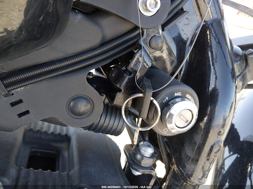 HARLEY-DAVIDSON XL1200 2020